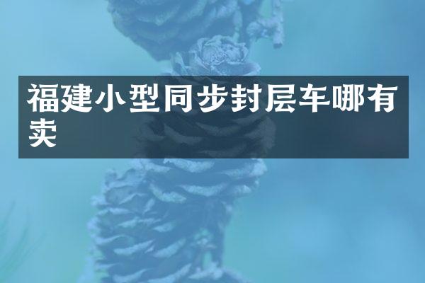 福建小型同步封層車哪有賣