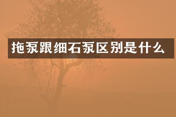 拖泵跟細石泵區(qū)別是什么