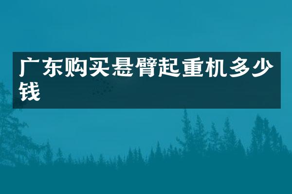 廣東購買懸臂起重機多少錢