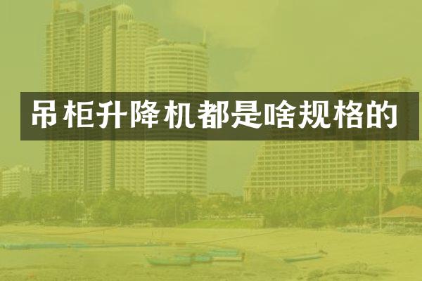 吊柜升降機都是啥規(guī)格的