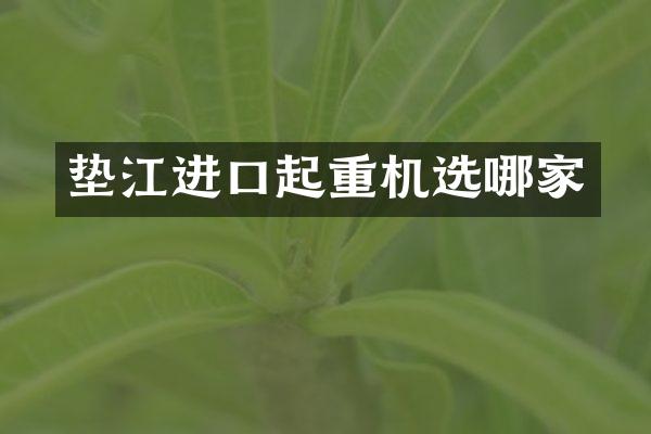 墊江進(jìn)口起重機(jī)選哪家