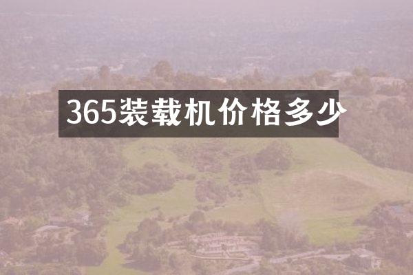 365裝載機(jī)價(jià)格多少