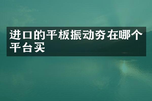 進(jìn)口的平板振動夯在哪個平臺買