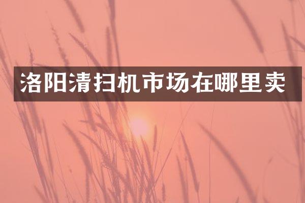 洛陽清掃機市場在哪里賣