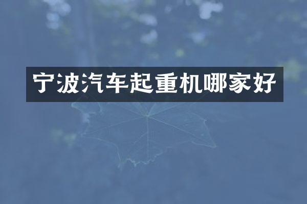 宁波汽车起重机哪家好