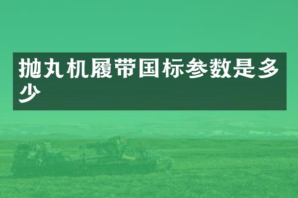 拋丸機履帶國標(biāo)參數(shù)是多少