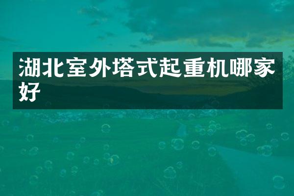 湖北室外塔式起重機哪家好