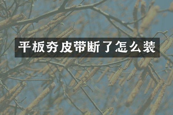 平板夯皮帶斷了怎么裝