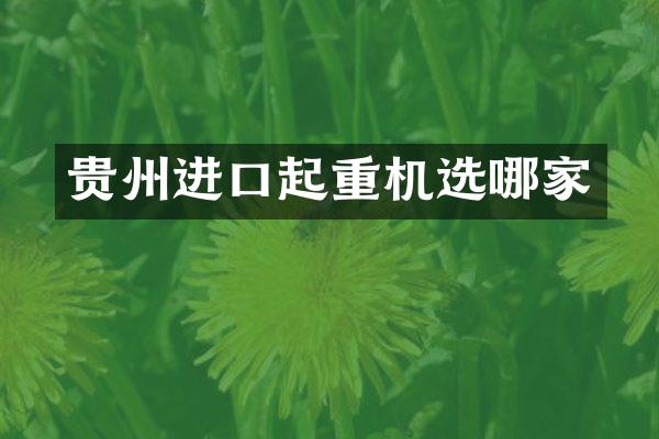 貴州進口起重機選哪家