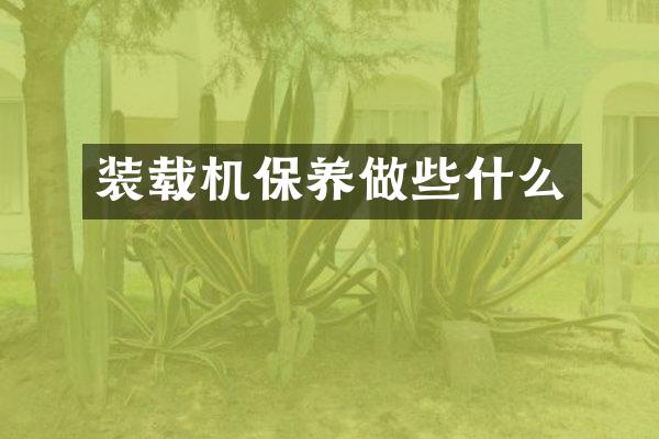 裝載機保養(yǎng)做些什么