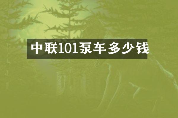 中聯(lián)101泵車多少錢