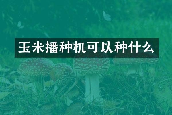 玉米播種機可以種什么