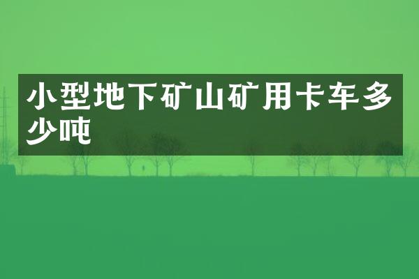 小型地下礦山礦用卡車多少噸