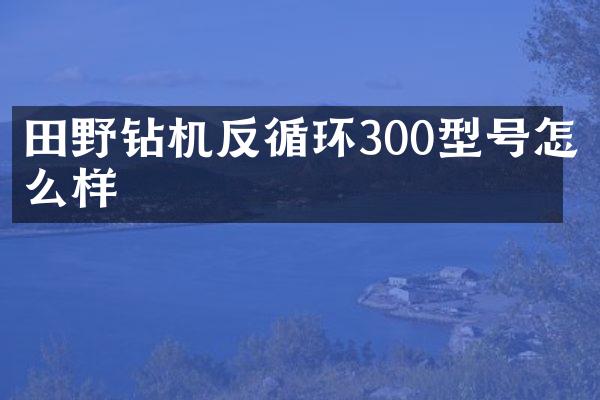 田野鉆機(jī)反循環(huán)300型號(hào)怎么樣