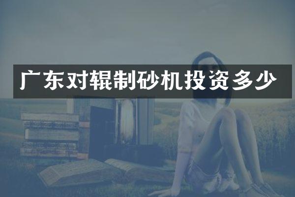 廣東對(duì)輥制砂機(jī)投資多少