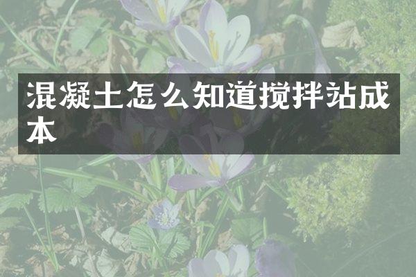 混凝土怎么知道攪拌站成本