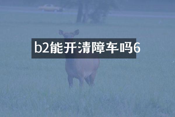 b2能開清障車嗎6