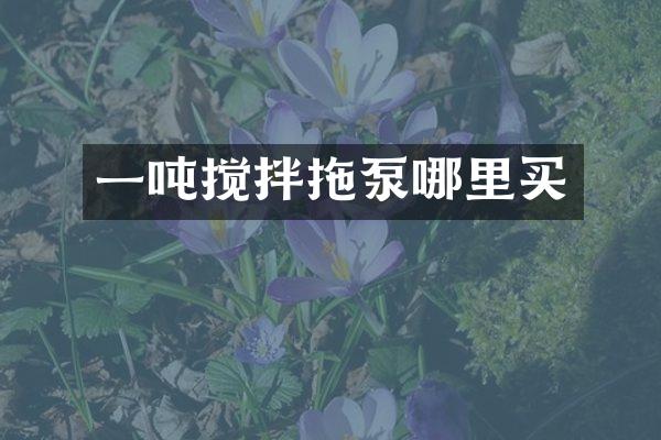 一噸攪拌拖泵哪里買