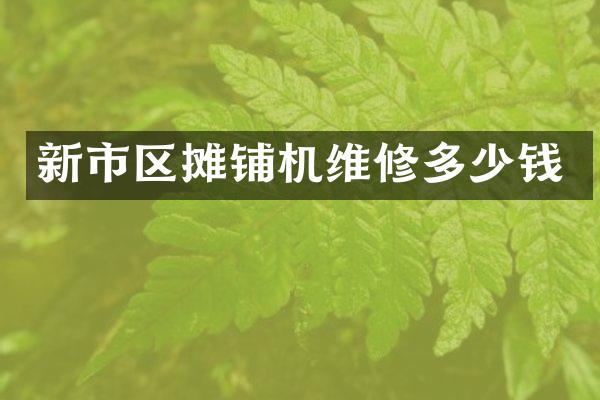 新市區(qū)攤鋪機維修多少錢