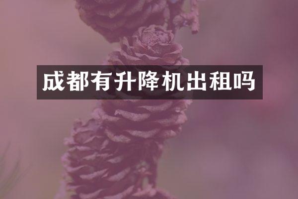 成都有升降機(jī)出租嗎