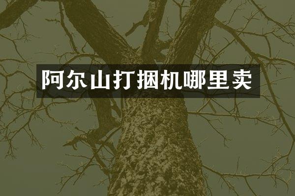 阿爾山打捆機哪里賣