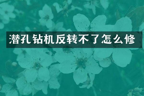 潛孔鉆機反轉(zhuǎn)不了怎么修