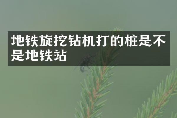 地鐵旋挖鉆機(jī)打的樁是不是地鐵站