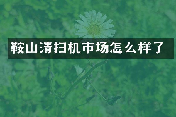 鞍山清掃機市場怎么樣了