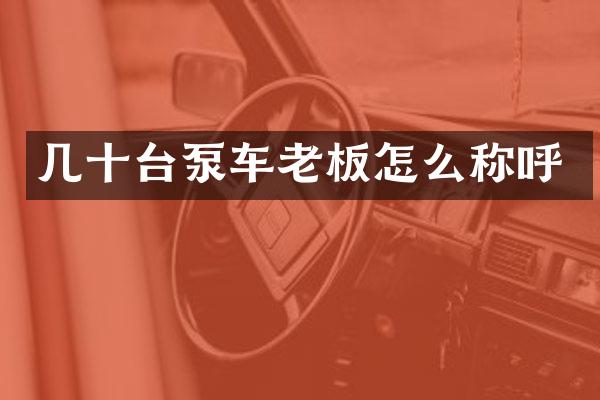 幾十臺(tái)泵車?yán)习逶趺捶Q呼