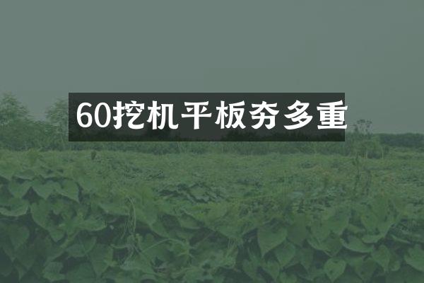 60挖機平板夯多重