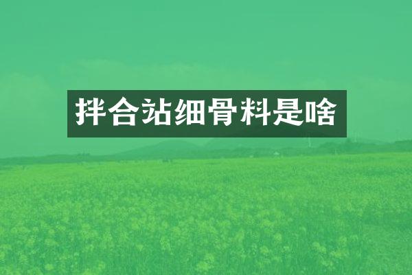 拌合站細骨料是啥