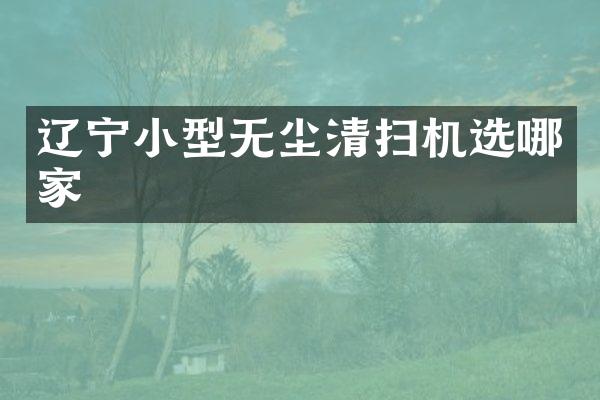 遼寧小型無塵清掃機選哪家