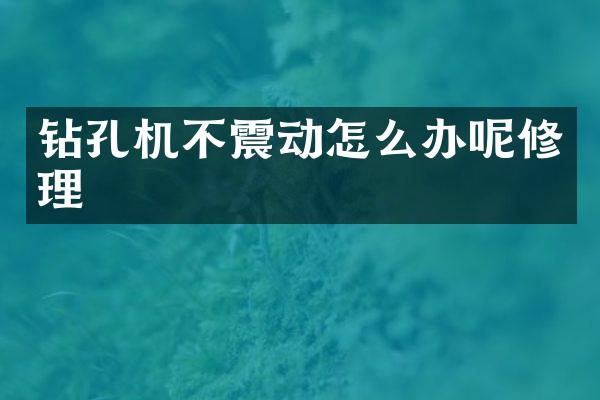 鉆孔機不震動怎么辦呢修理