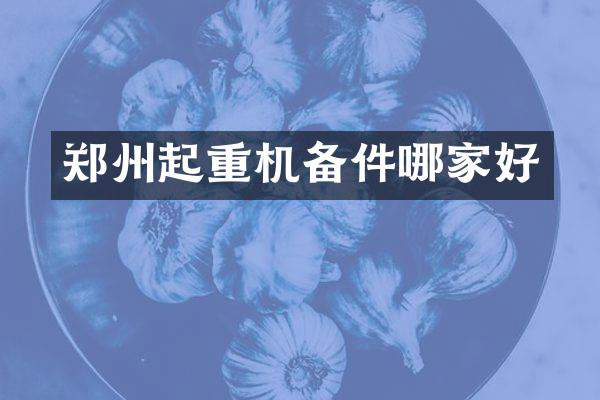 鄭州起重機備件哪家好
