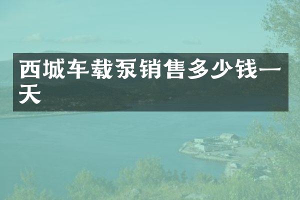 西城車載泵銷售多少錢一天
