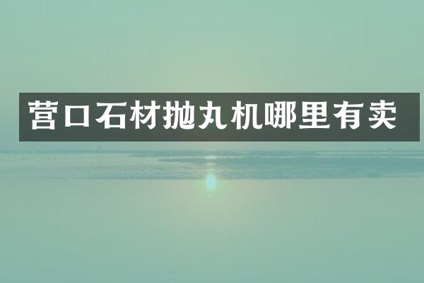 營口石材拋丸機(jī)哪里有賣