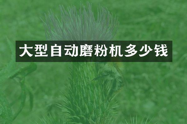 大型自動磨粉機(jī)多少錢