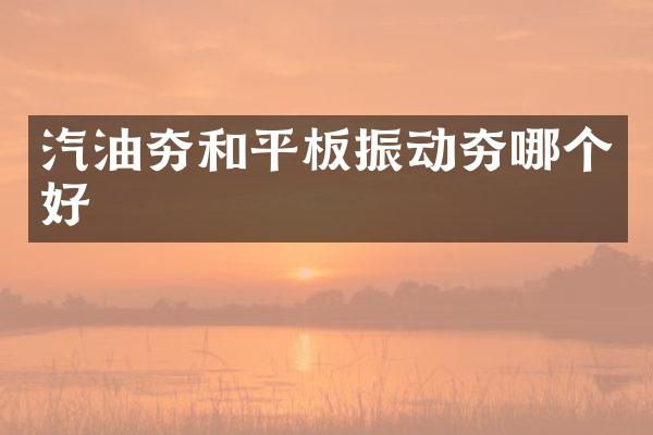 汽油夯和平板振動夯哪個(gè)好