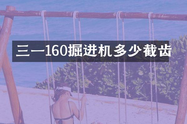 三一160掘進(jìn)機(jī)多少截齒