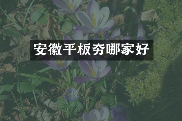 安徽平板夯哪家好