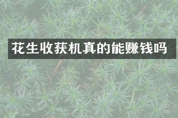 花生收獲機真的能賺錢嗎