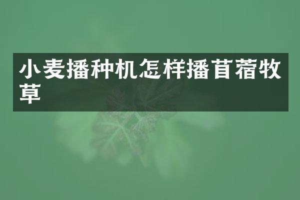 小麥播種機怎樣播苜蓿牧草