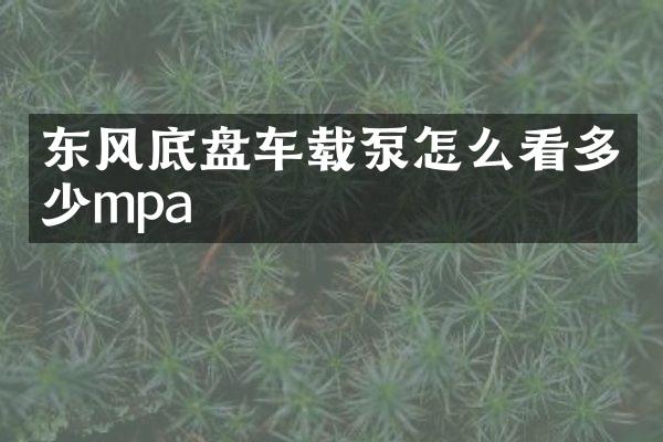 東風(fēng)底盤車載泵怎么看多少mpa