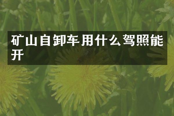 礦山自卸車(chē)用什么駕照能開(kāi)