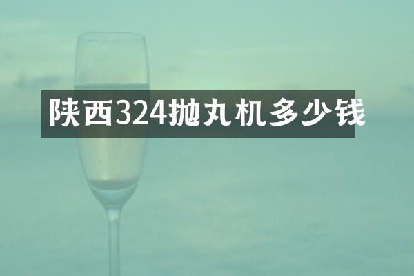 陜西324拋丸機(jī)多少錢