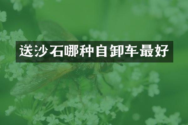 送沙石哪種自卸車最好