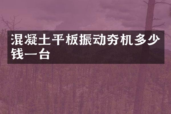 混凝土平板振動夯機多少錢一臺