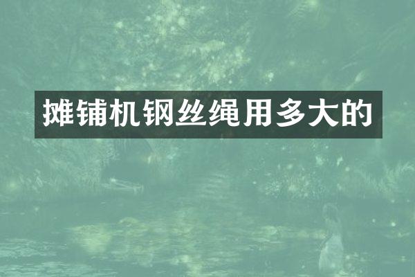 攤鋪機鋼絲繩用多大的