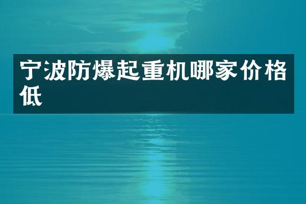 寧波防爆起重機(jī)哪家價(jià)格低