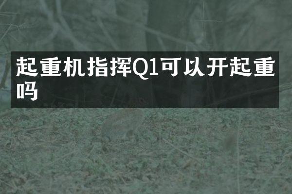 起重機(jī)指揮Q1可以開起重機(jī)嗎